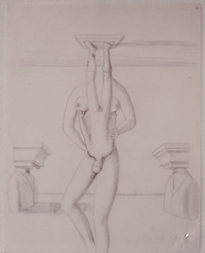 Zeichnung Hermaphrodit